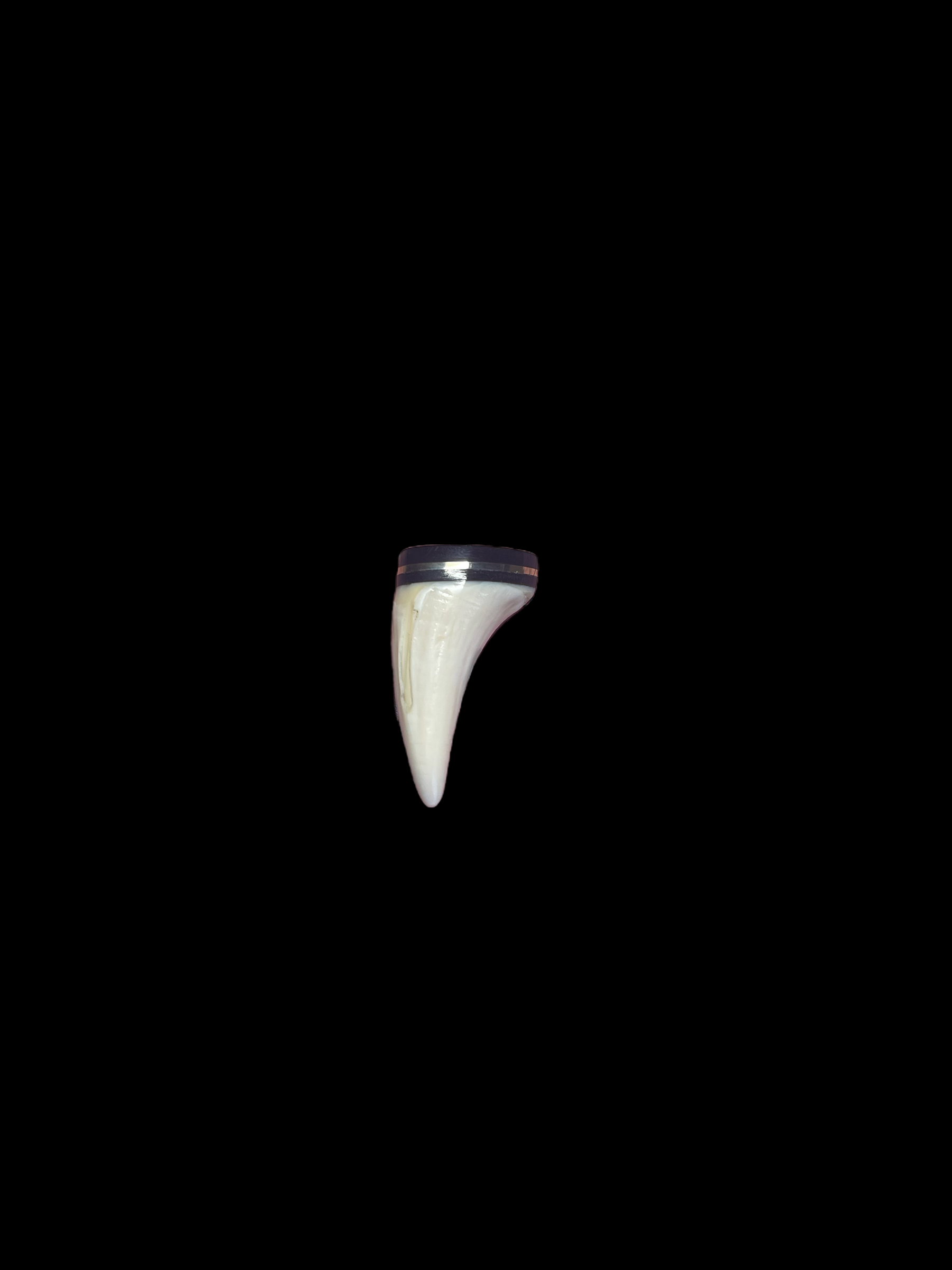 Nanuq/Polar Bear K9 Tooth Lapel Pin